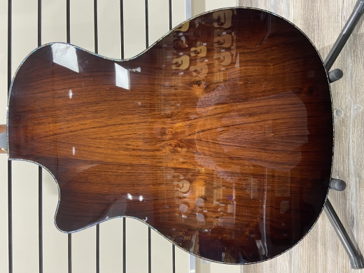Taylor Guitars - PS14CE H RW 4